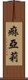 痲亞莉 Scroll