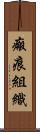 瘢痕組織 Scroll