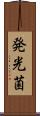 発光菌 Scroll