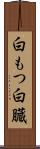 白もつ Scroll