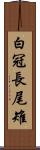 白冠長尾雉 Scroll