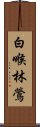 白喉林鶯 Scroll