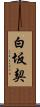 白坂契 Scroll