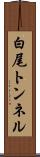 白尾トンネル Scroll