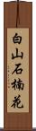 白山石楠花 Scroll