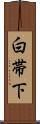 白帯下 Scroll