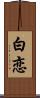 白恋 Scroll