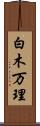 白木万理 Scroll