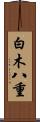 白木八重 Scroll