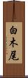 白木尾 Scroll
