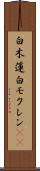 白木蓮 Scroll