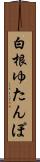 白根ゆたんぽ Scroll