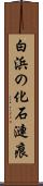 白浜の化石漣痕 Scroll