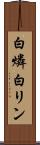 白燐 Scroll