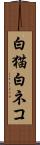 白猫 Scroll