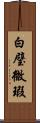白璧微瑕 Scroll