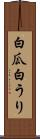 白瓜 Scroll
