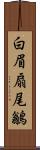 白眉扇尾鶲 Scroll