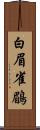 白眉雀鶥 Scroll
