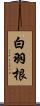 白羽根 Scroll