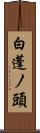 白蓬ノ頭 Scroll