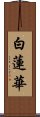 白蓮華 Scroll