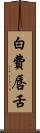 白費唇舌 Scroll