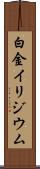 白金イリジウム Scroll