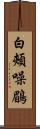 白頰噪鶥 Scroll