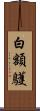白額鸌 Scroll