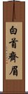 白首齊眉 Scroll