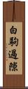 白駒過隙 Scroll