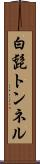 白髭トンネル Scroll