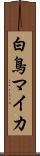 白鳥マイカ Scroll