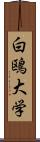 白鴎大学 Scroll