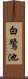 白鷺池 Scroll