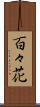 百々花 Scroll