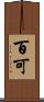 百可 Scroll
