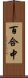 百合中 Scroll