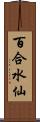 百合水仙 Scroll