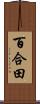 百合田 Scroll
