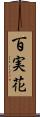 百実花 Scroll