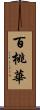 百桃華 Scroll