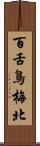 百舌鳥梅北 Scroll