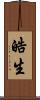 皓生 Scroll