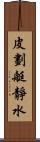 皮劃艇靜水 Scroll