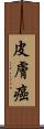 皮膚癌 Scroll