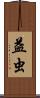 益虫 Scroll