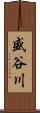 盛谷川 Scroll