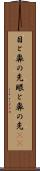 目と鼻の先 Scroll